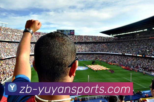 多媒体互动体验