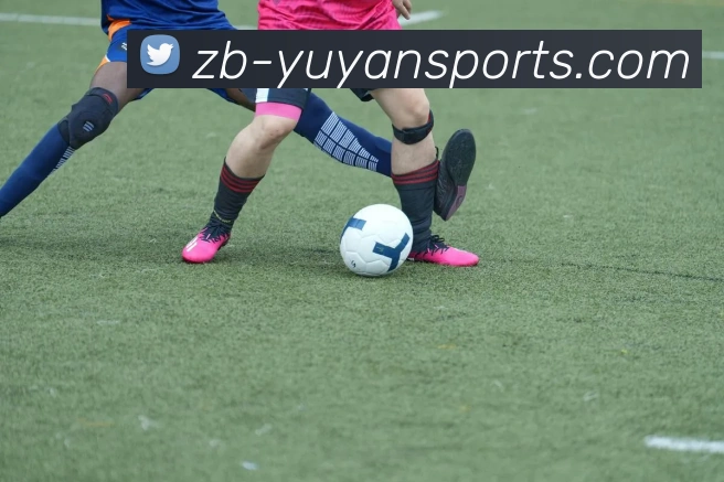 雨燕体育直播APP 体育赛事宣传图